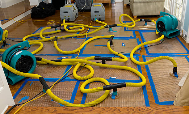 Professional Flood Damage Restoration technician working in Cotopaxi, CO